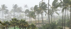 Panama City roofing companies can help you navigate roof repairs caused by storms